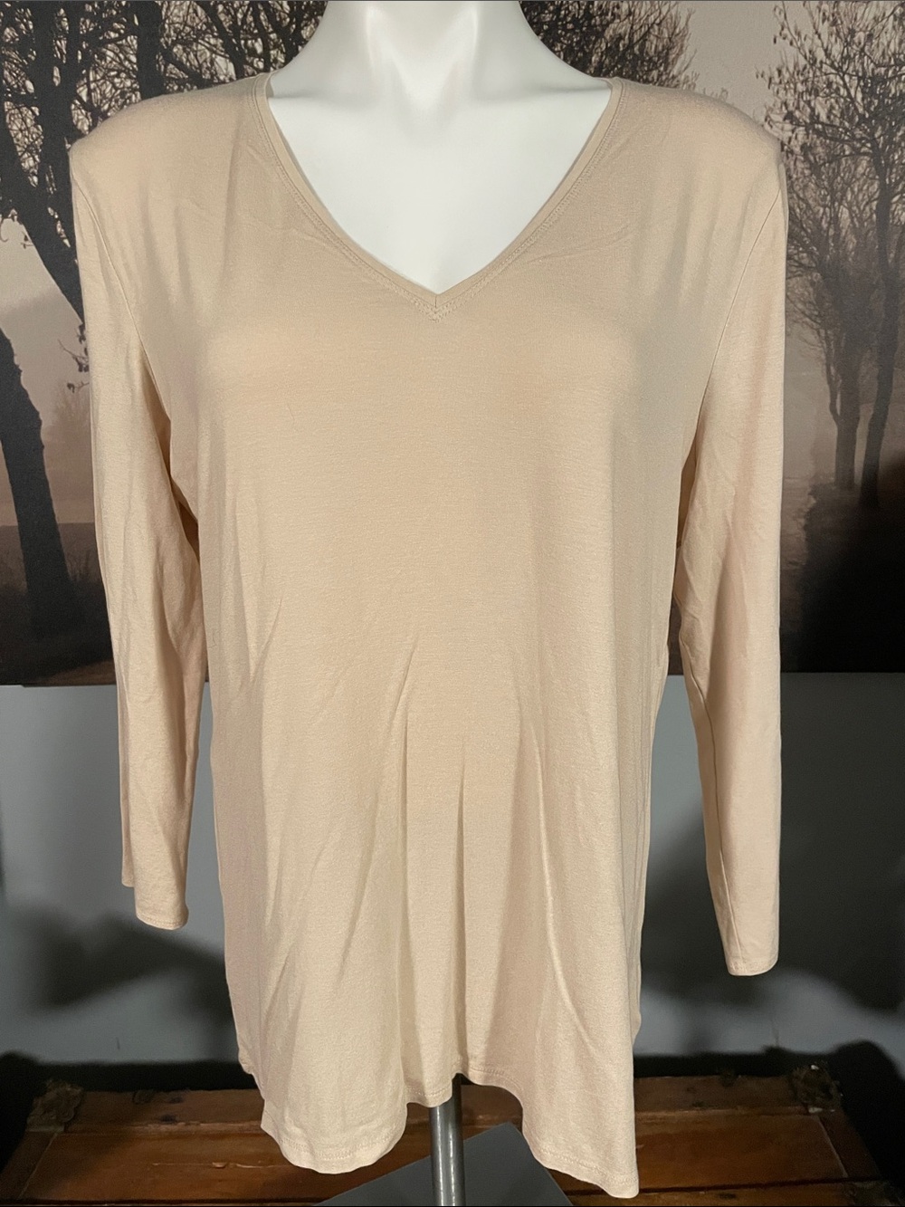 Anne Klein Women's V-Neck Long Sleeve Top - XL